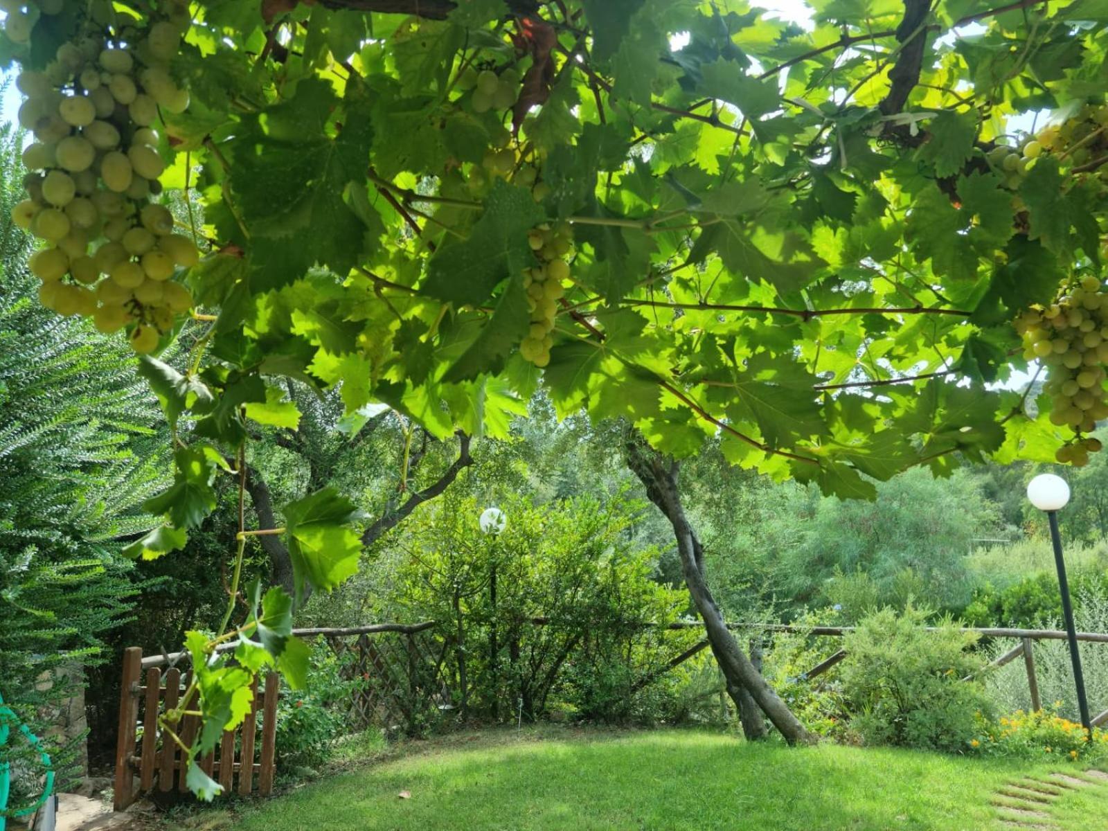 Verde E Mare Villasimius Exterior photo